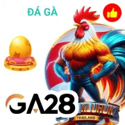 win55 Game 04